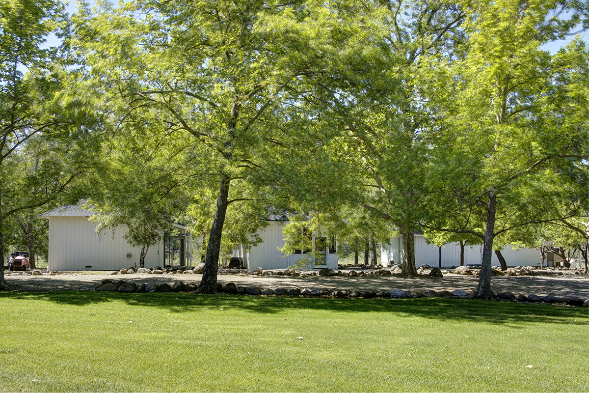 15 - h18 _MG_6060adjust - SantaAngelinaRanch