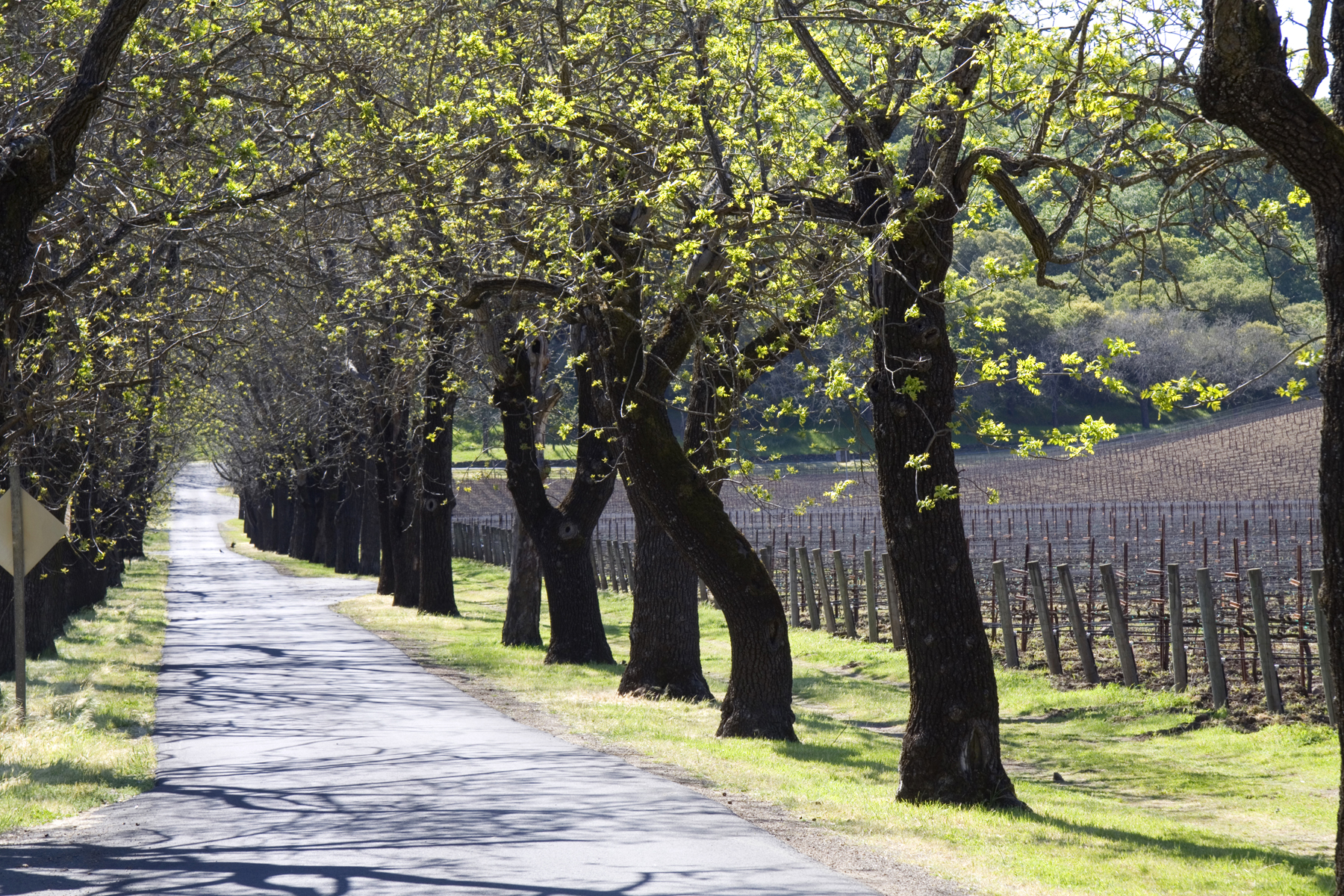 16 IMG_2248- 6126SilveradoTrail