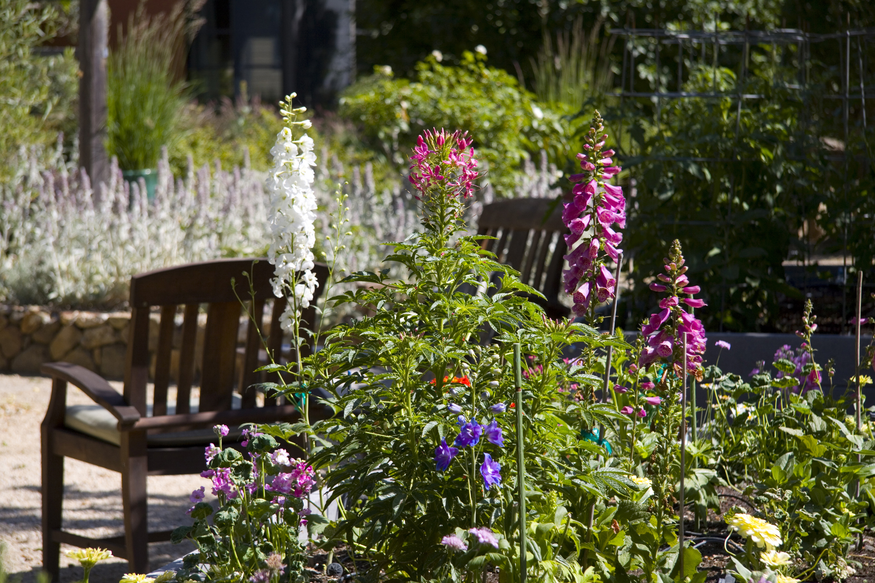 18 - IMG_6429- 3106PalisadesRd