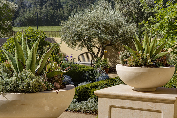 18 - _MG_2338adjust- 2186VallejoStreet