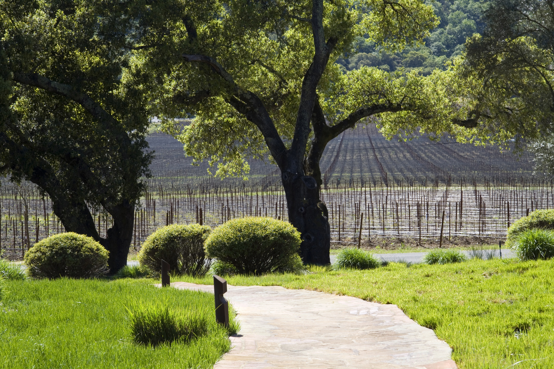 19 IMG_2234- 6126SilveradoTrail