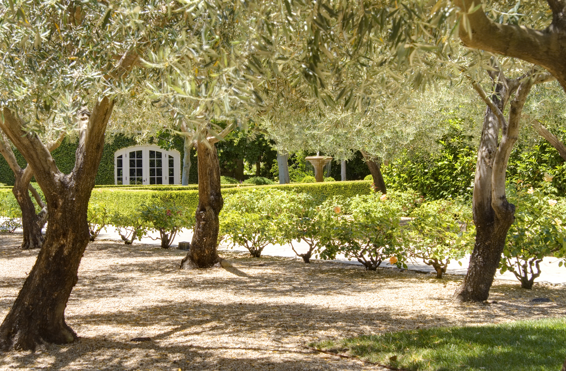 19 _MG_7684adjust- 1245HudsonAve