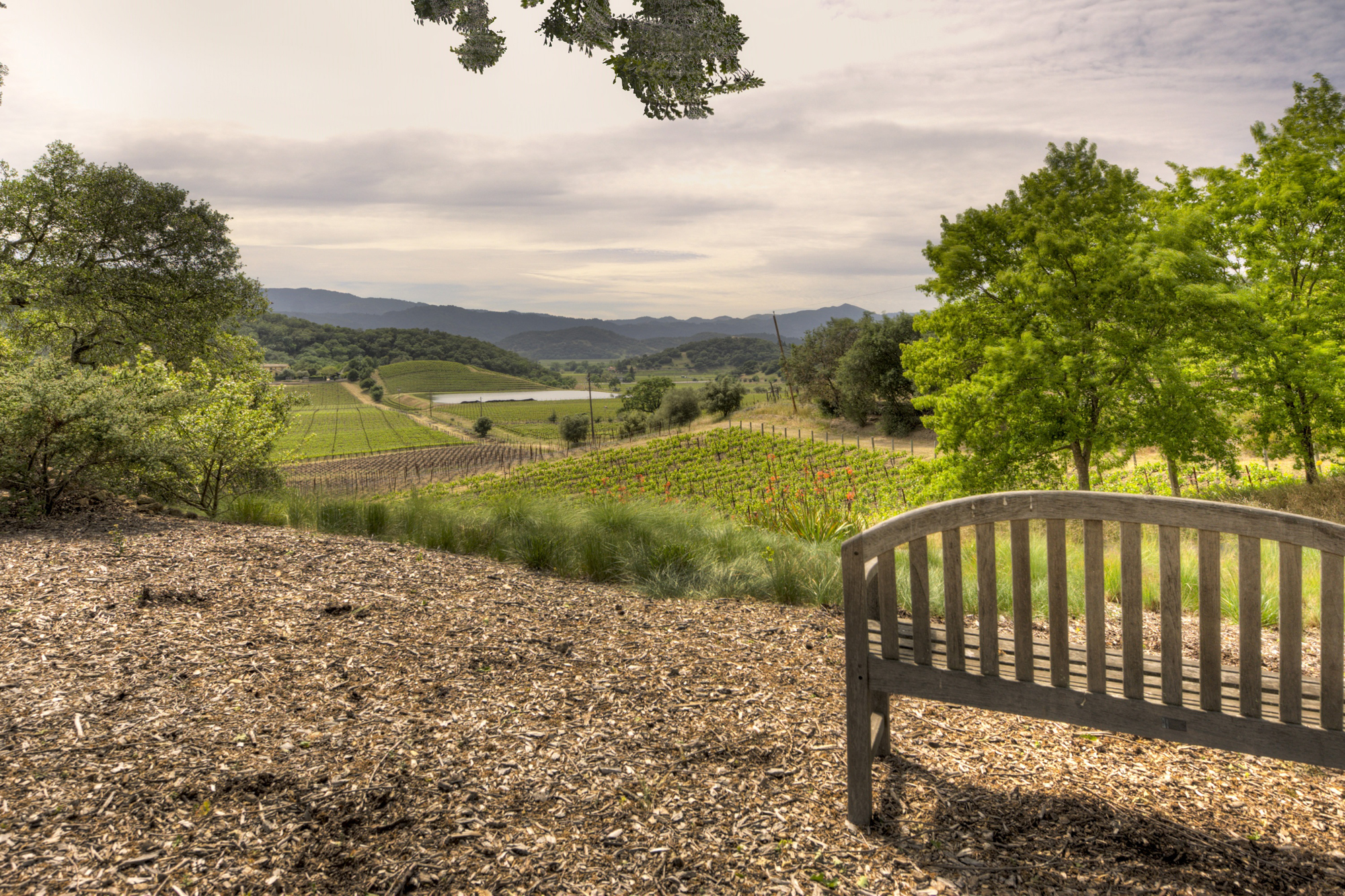 20 6126 Silverado Trail - 38 smaller - 6126SilveradoTrail