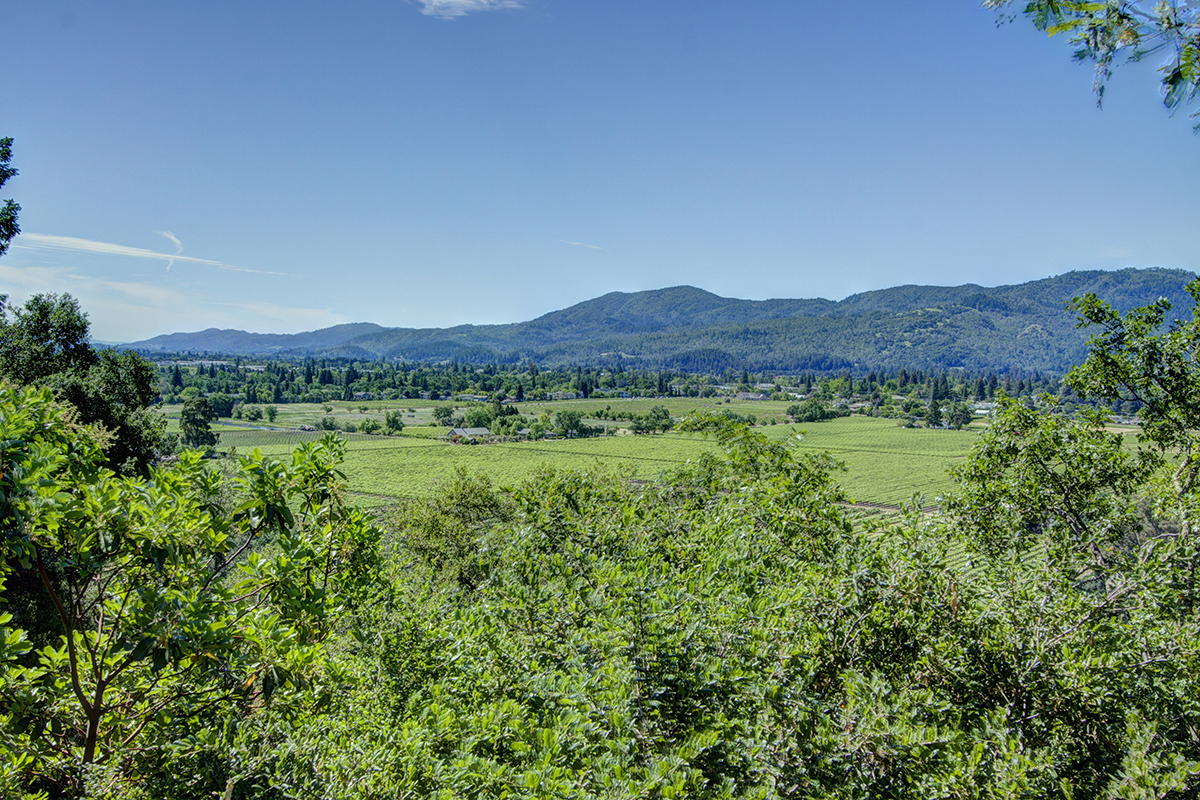 20 - _MG_1692_3_4_5_6_Fusion:Natural IV - 173KnollPlace