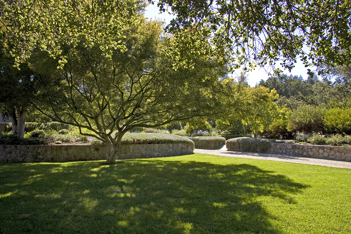 20 _MG_3429adjust- 1799OakvilleGrade