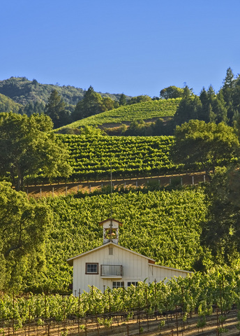 Napa Valley barn