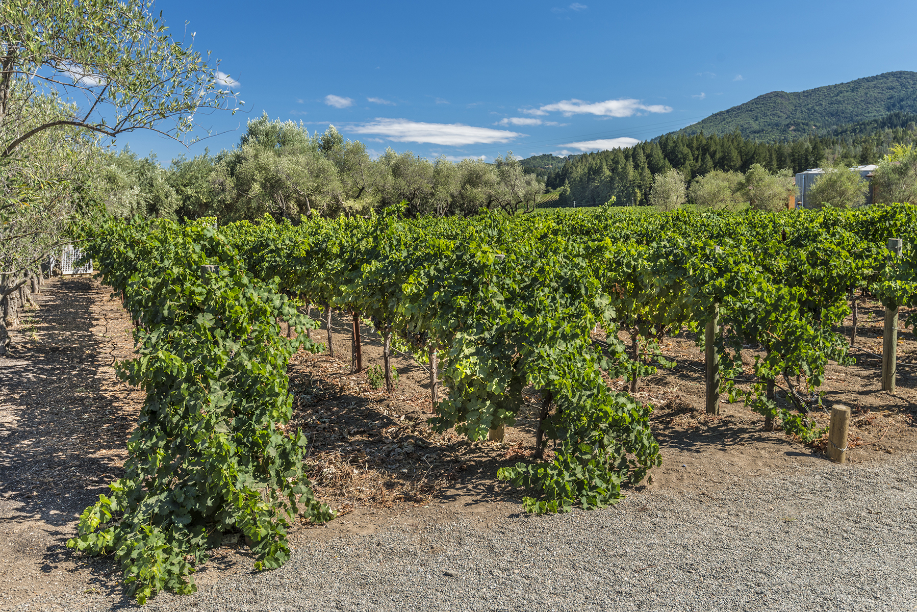 20_1777 Inglewood 2021_03.24.2021