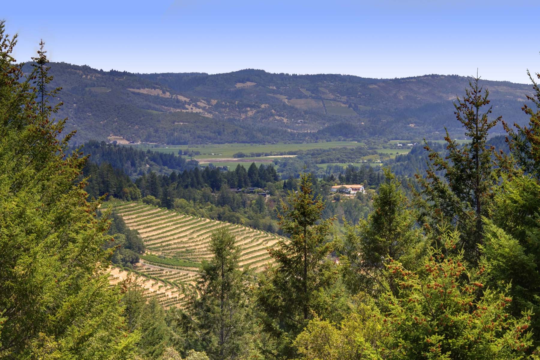 21 IMG_4243adjust-EDIT- 369KortumCanyonAndrews