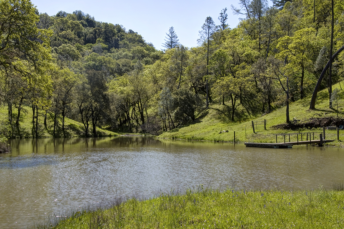 21 - r8 15 - _MG_5456adjust - SantaAngelinaRanch