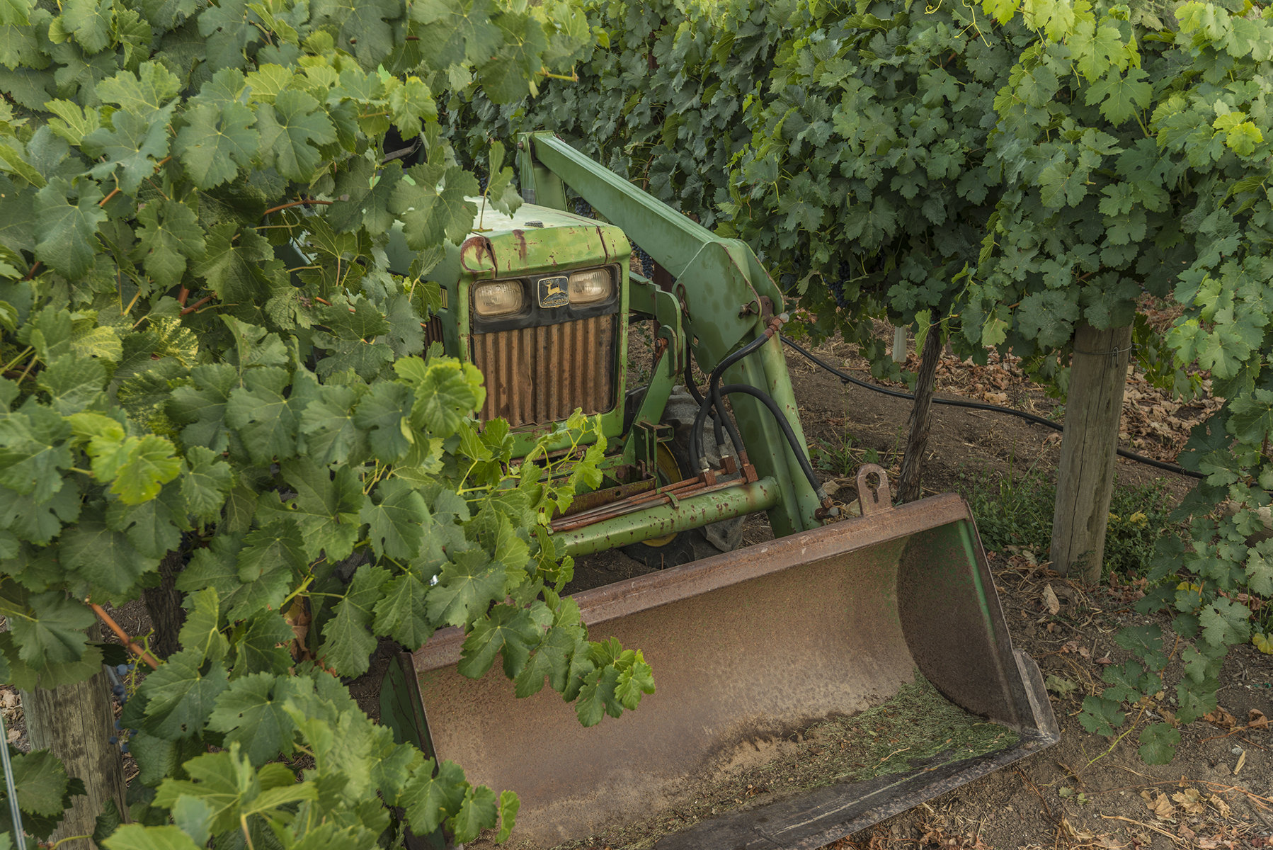 21_1777 Inglewood 2021_03.24.2021