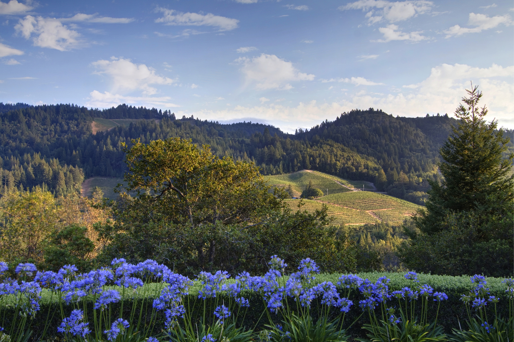 22 IMG_4146adjust- 369KortumCanyonAndrews