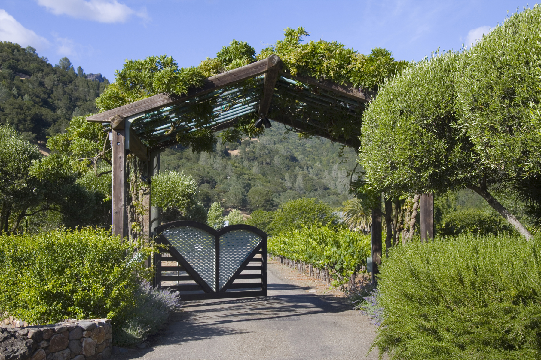 22 - IMG_6463- 3106PalisadesRd