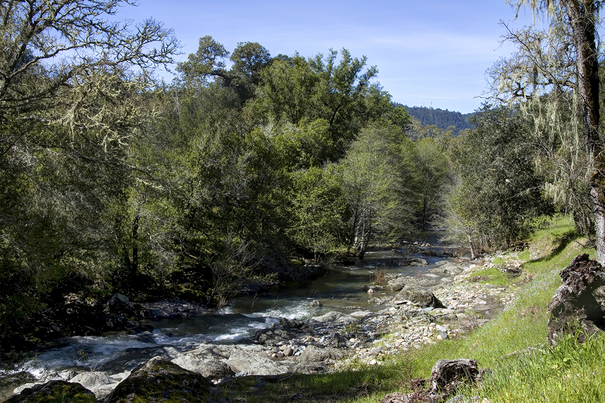22 - r12 28 - _MG_5438adjust - SantaAngelinaRanch