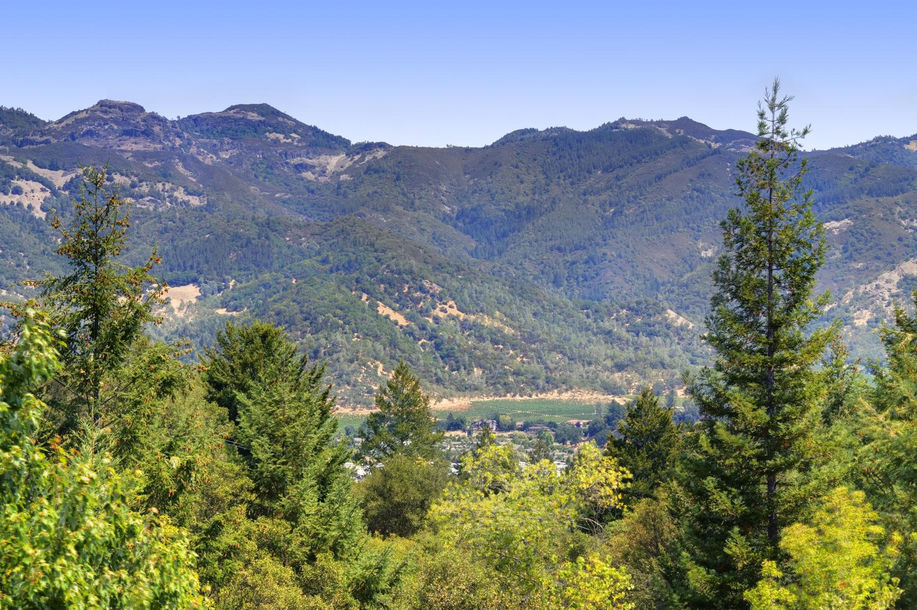 23 IMG_4238adjust-EDIT- 369KortumCanyonAndrews