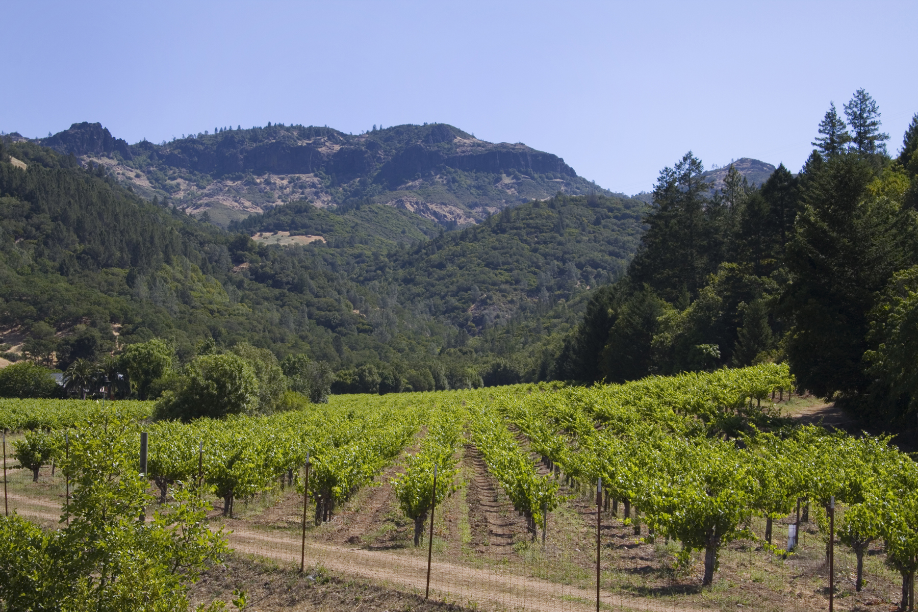 23 - IMG_6716- 3106PalisadesRd