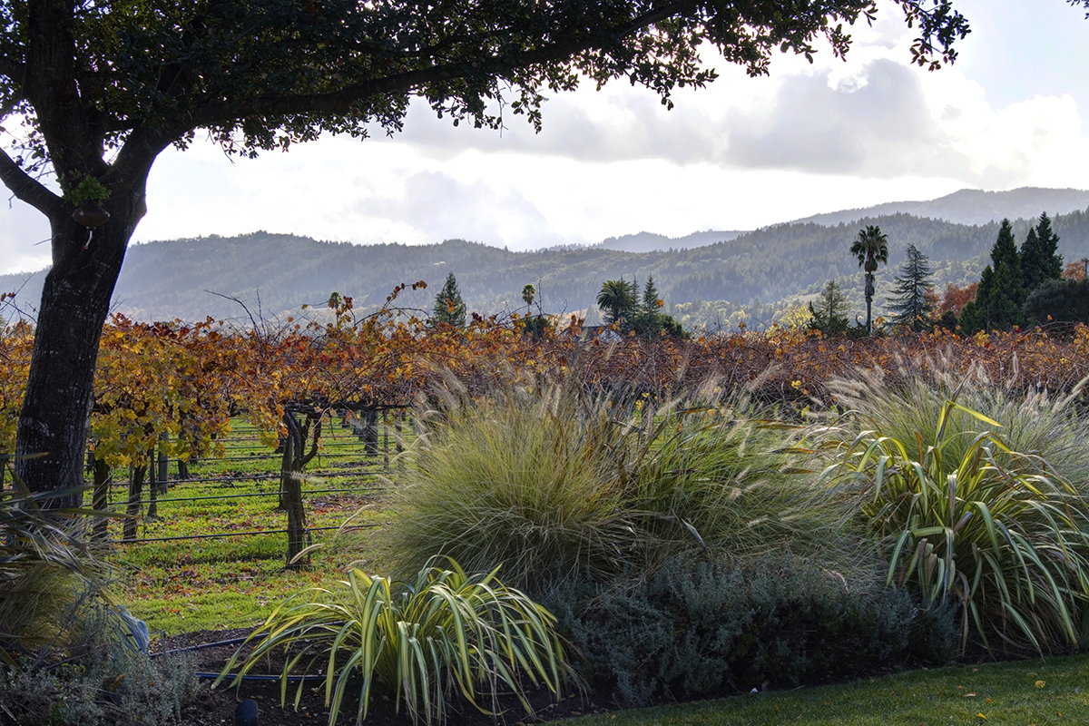 23 _MG_4407adjust- 1125RutherfordRoad