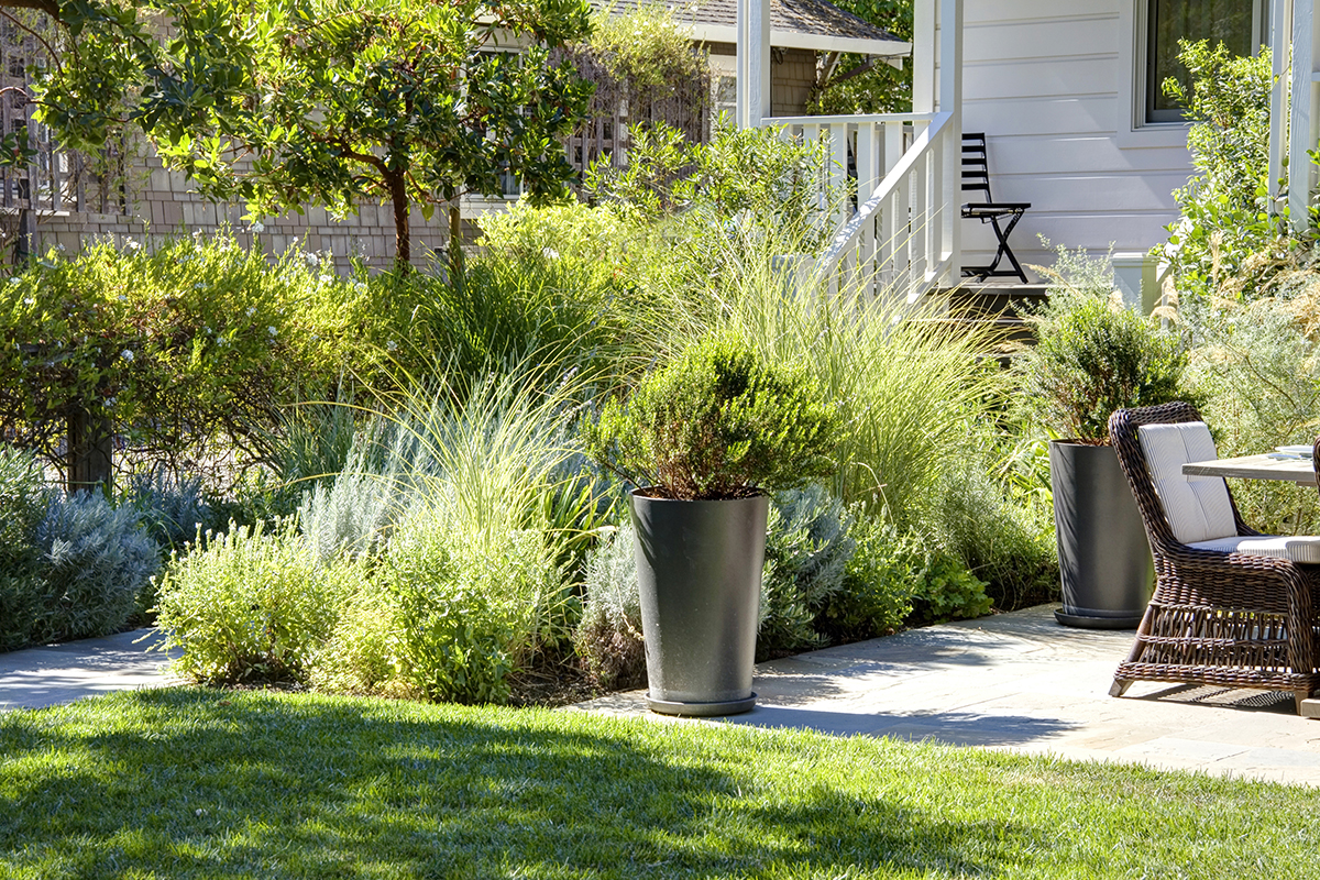 23 _MG_8432adjust - 1729AlexanderCourt