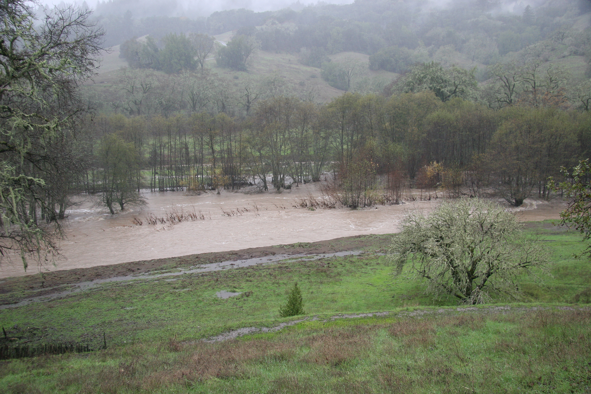 23 - r13 IMG_2583 smaller - SantaAngelinaRanch