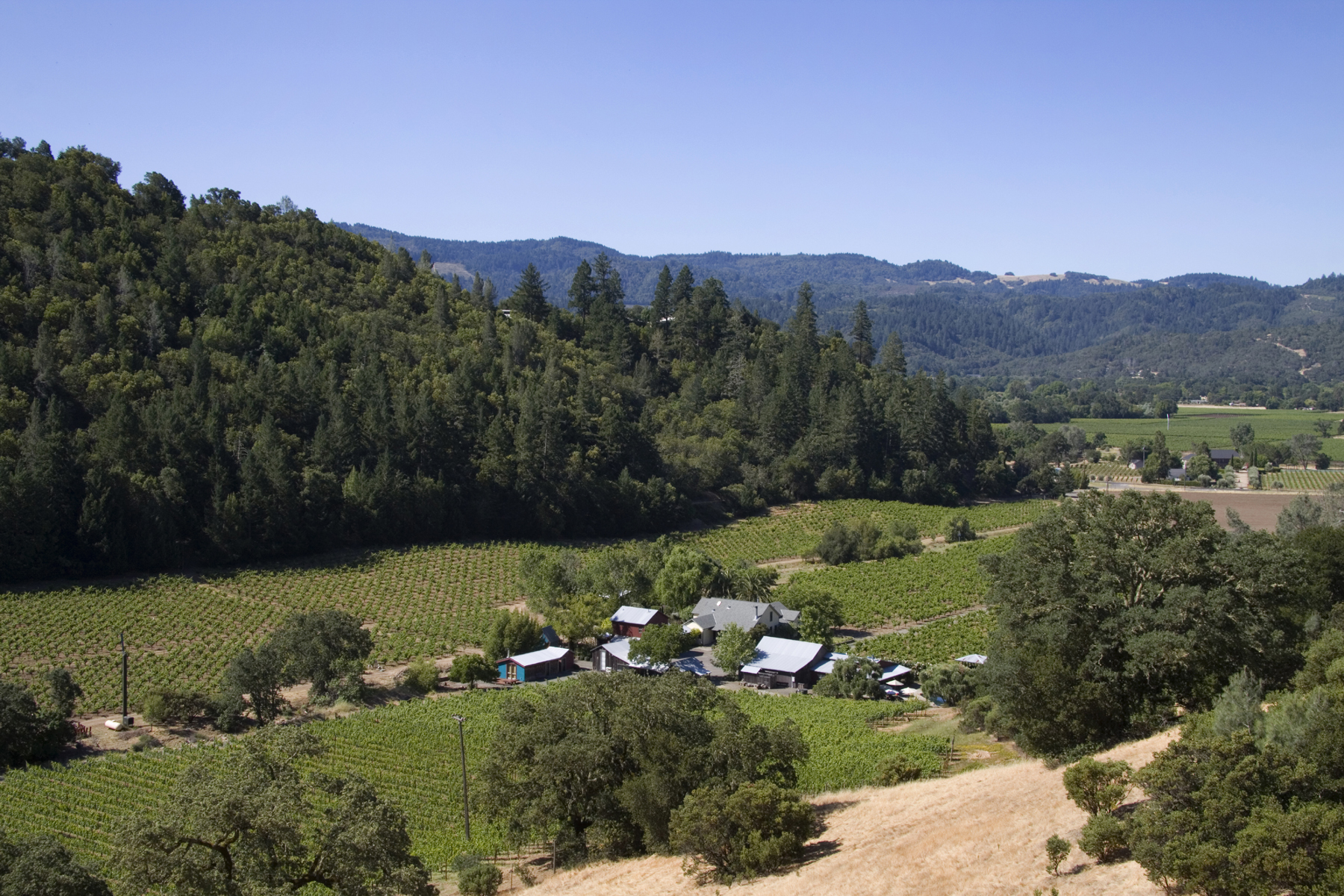 24 - IMG_6701- 3106PalisadesRd