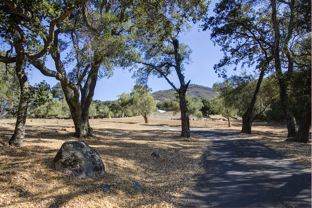 24 _MG_2341adjust- 2210SodaCanyon