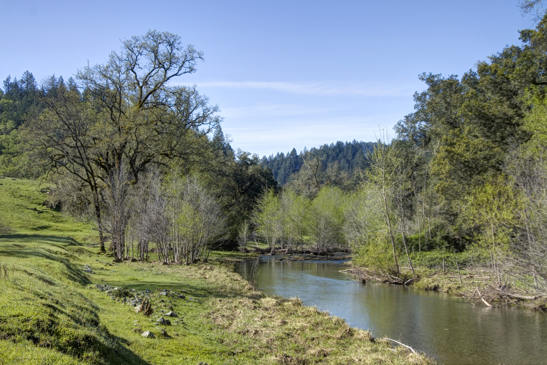 24 - r15 32 - _MG_5284adjust - SantaAngelinaRanch