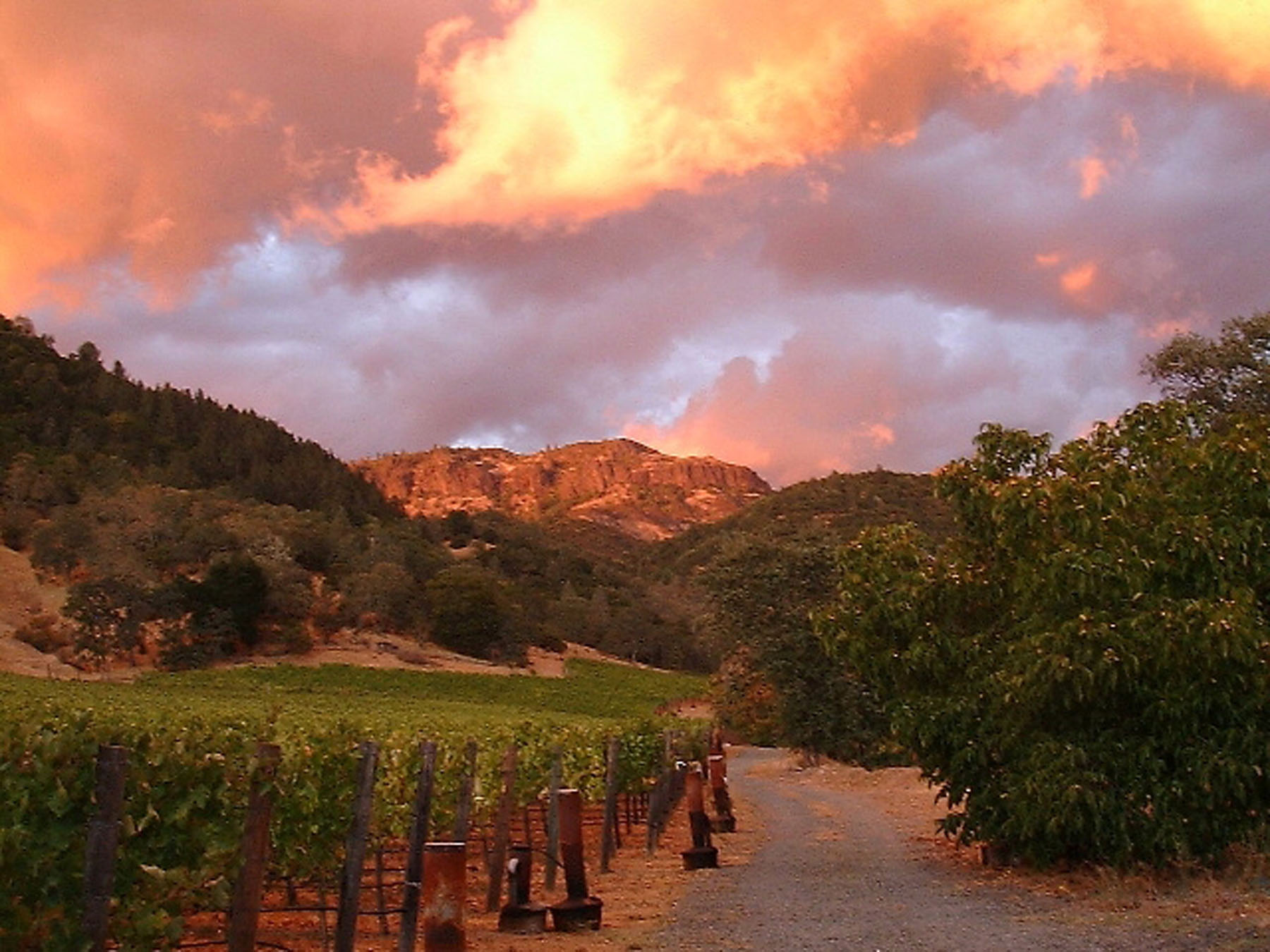 25 - Palisades Sunset- 3106PalisadesRd