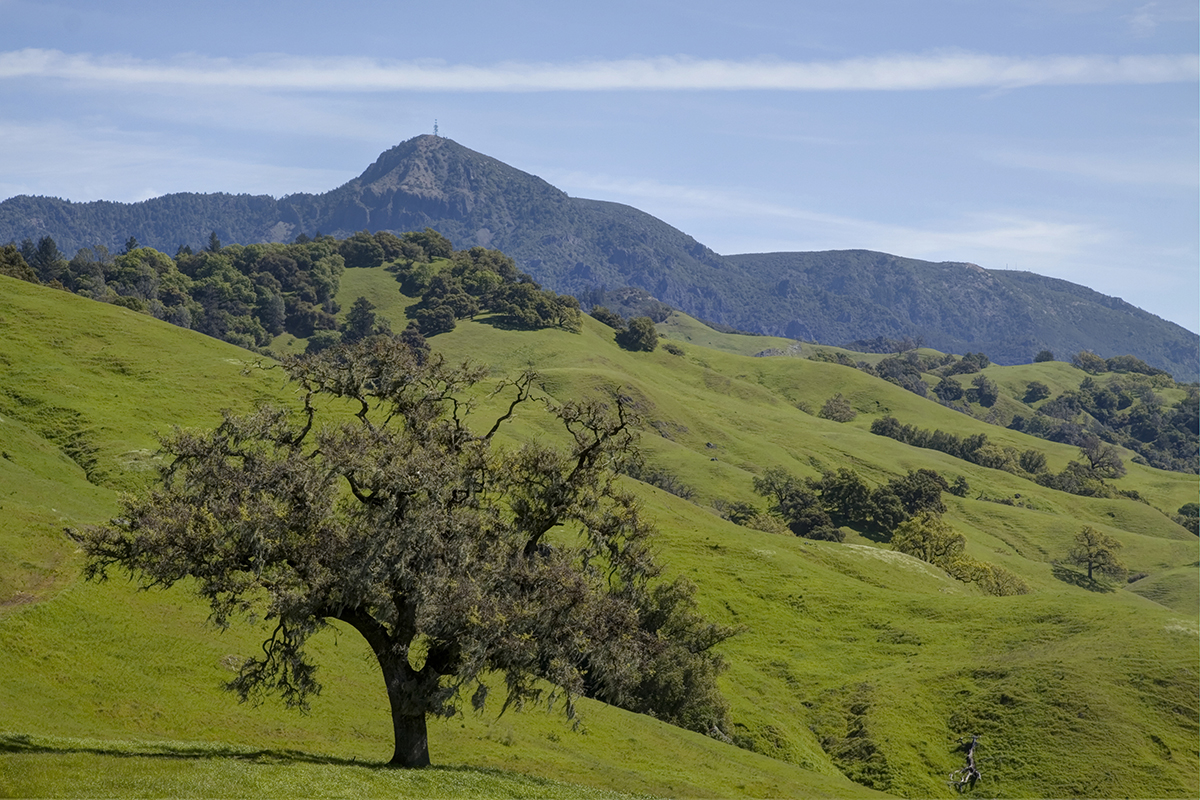 26 - r25 48 - _MG_5506adjust - SantaAngelinaRanch
