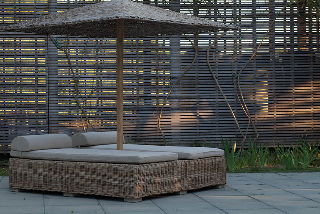 L O V E  T H E  L I G H T