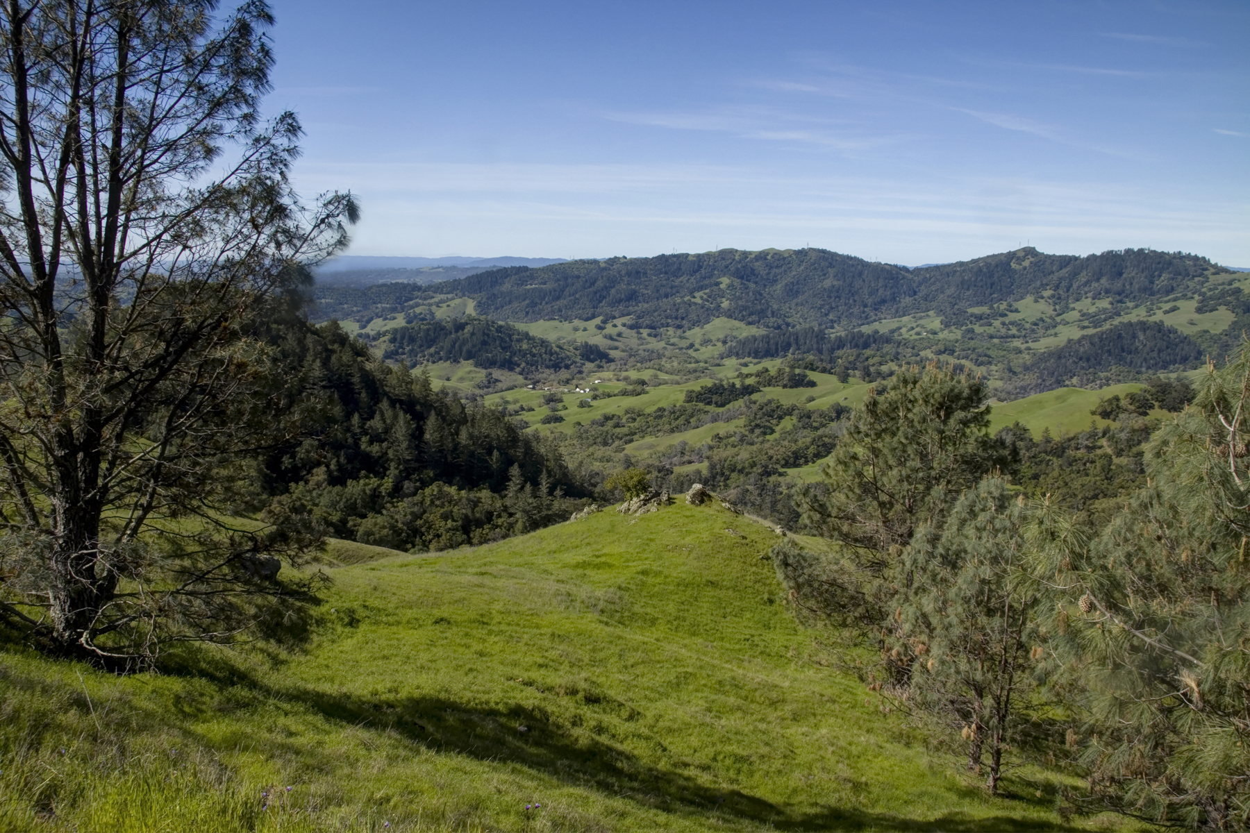 27 - r31 55 - _MG_5336adjust.jpg - SantaAngelinaRanch