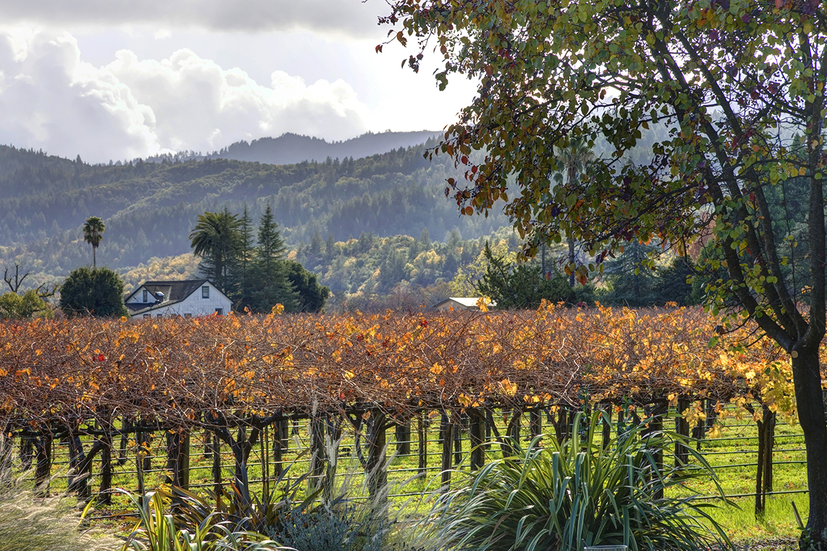 28 _MG_4422adjust- 1125RutherfordRoad