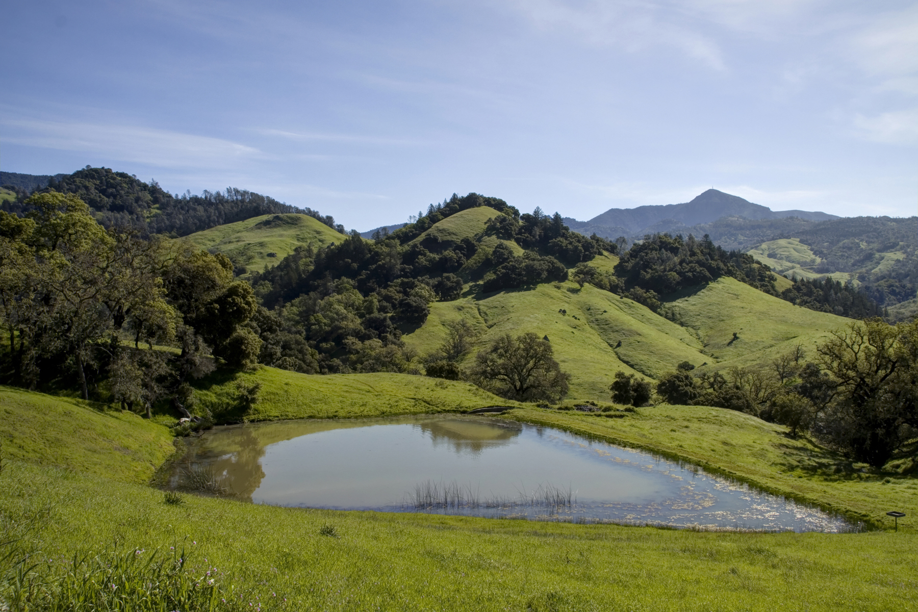 28 - r35 59 - _MG_5302adjust - SantaAngelinaRanch