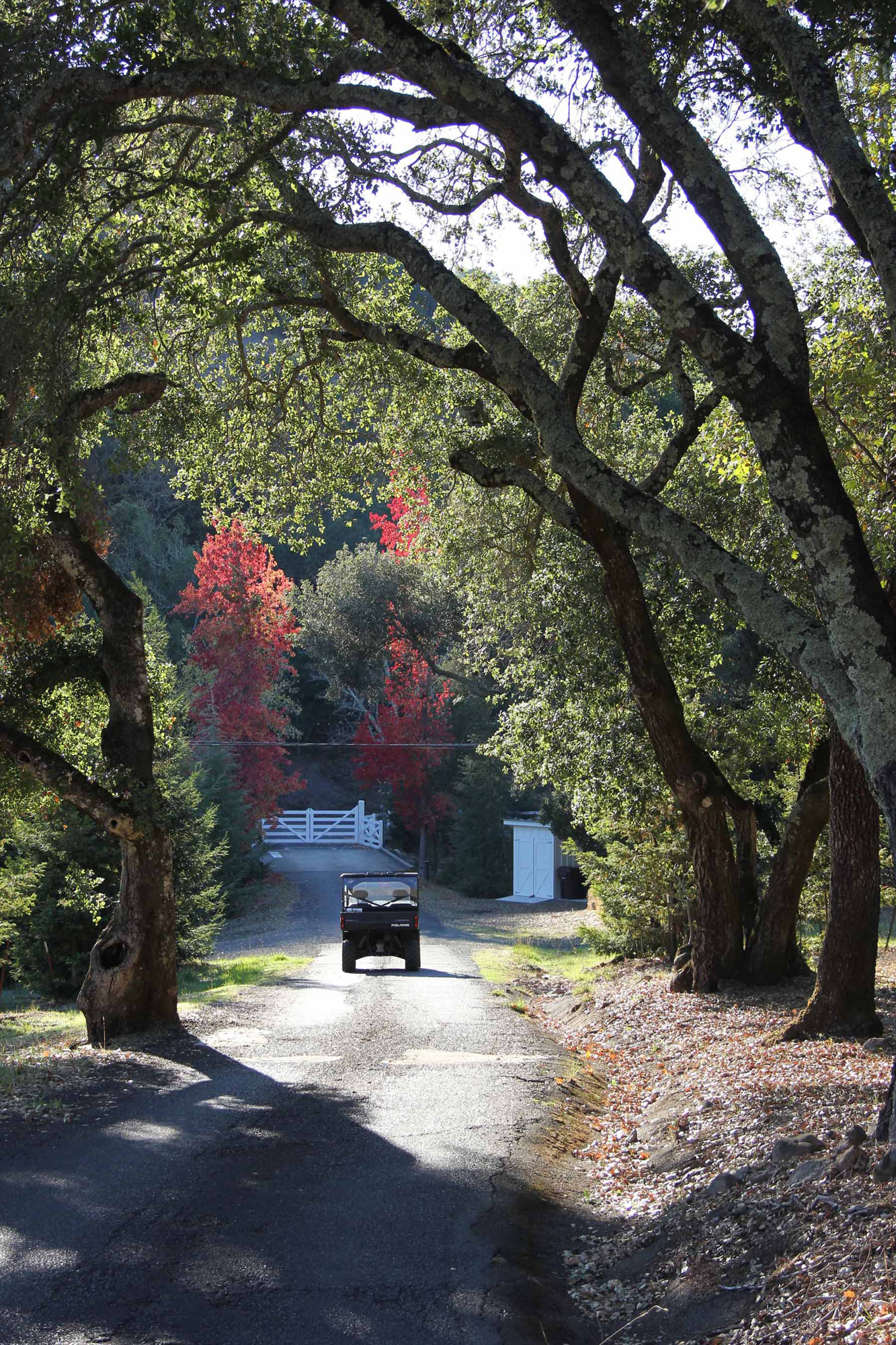 29 1_Road_Gate smaller- 2210SodaCanyon
