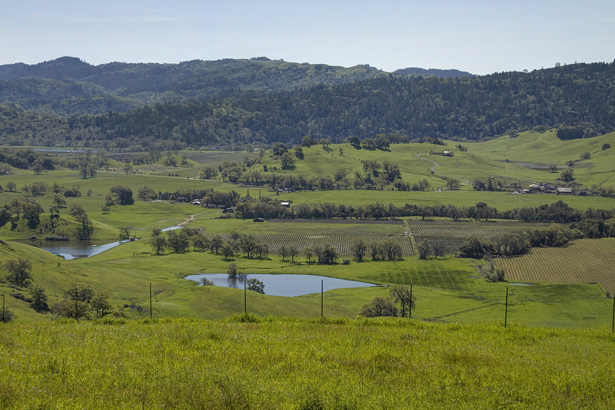 29 - r39 8c - _MG_5493adjust - SantaAngelinaRanch