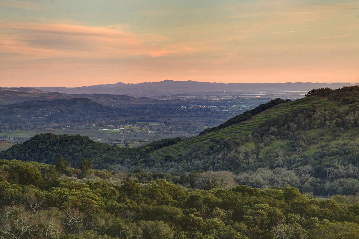30 _MG_4426adjust- 2210SodaCanyon