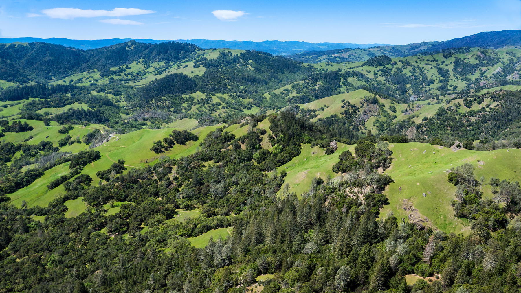 30 - r41 66 - P1210274b - SantaAngelinaRanch