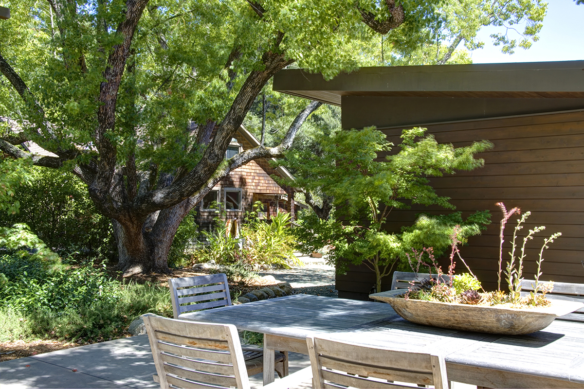 31 _MG_8099adjust- 1770DeanYork