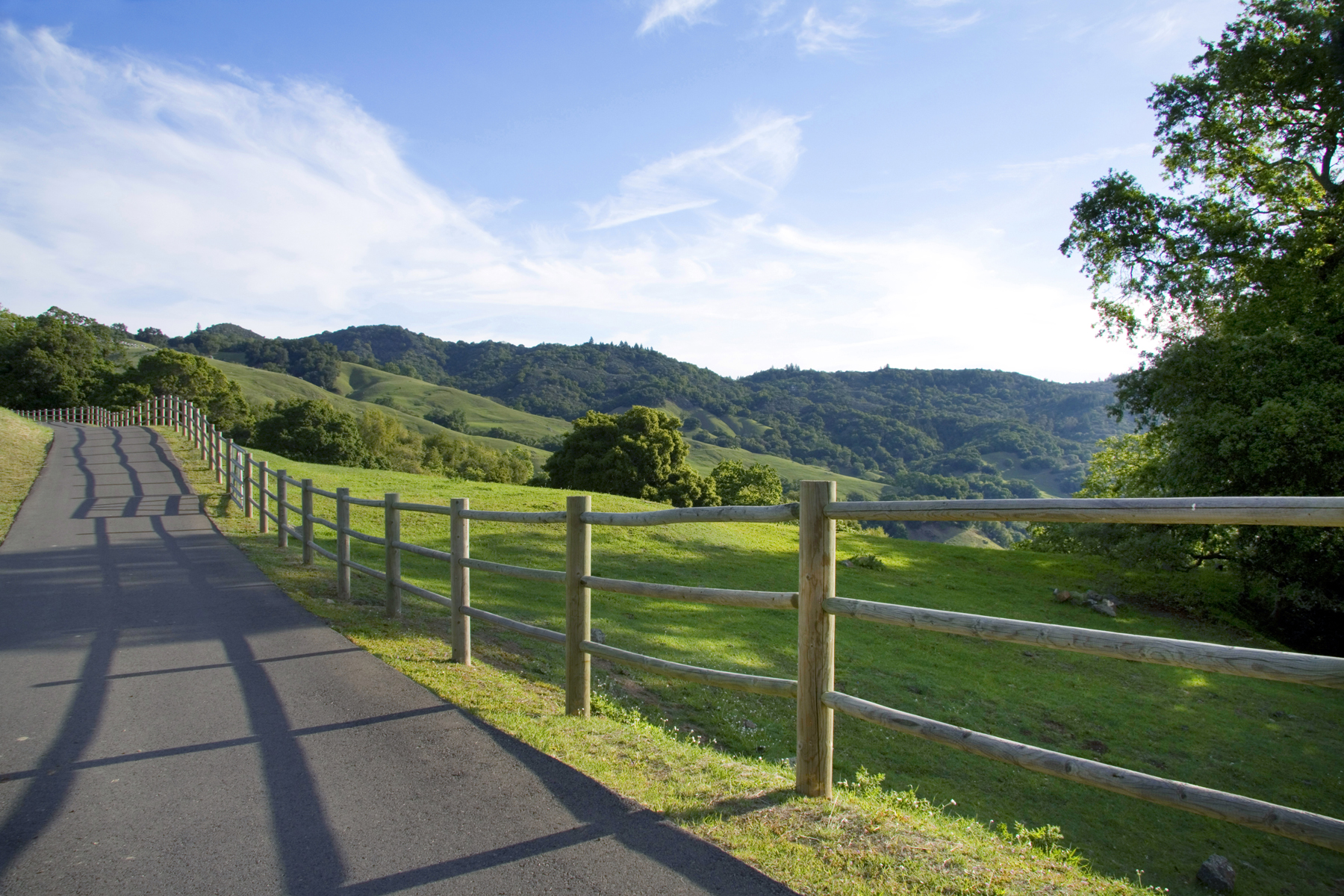 36 _MG_6252-EDIT - 1100WallRoad