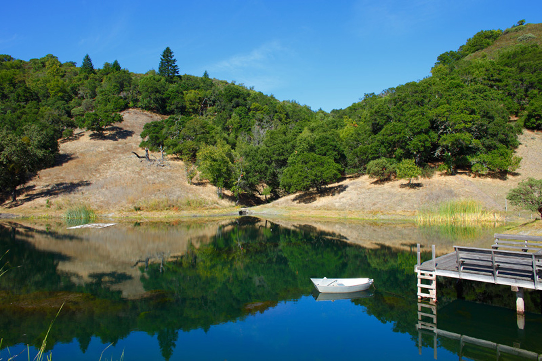 37 1100_Wall_Road_6935 - 1100WallRoad