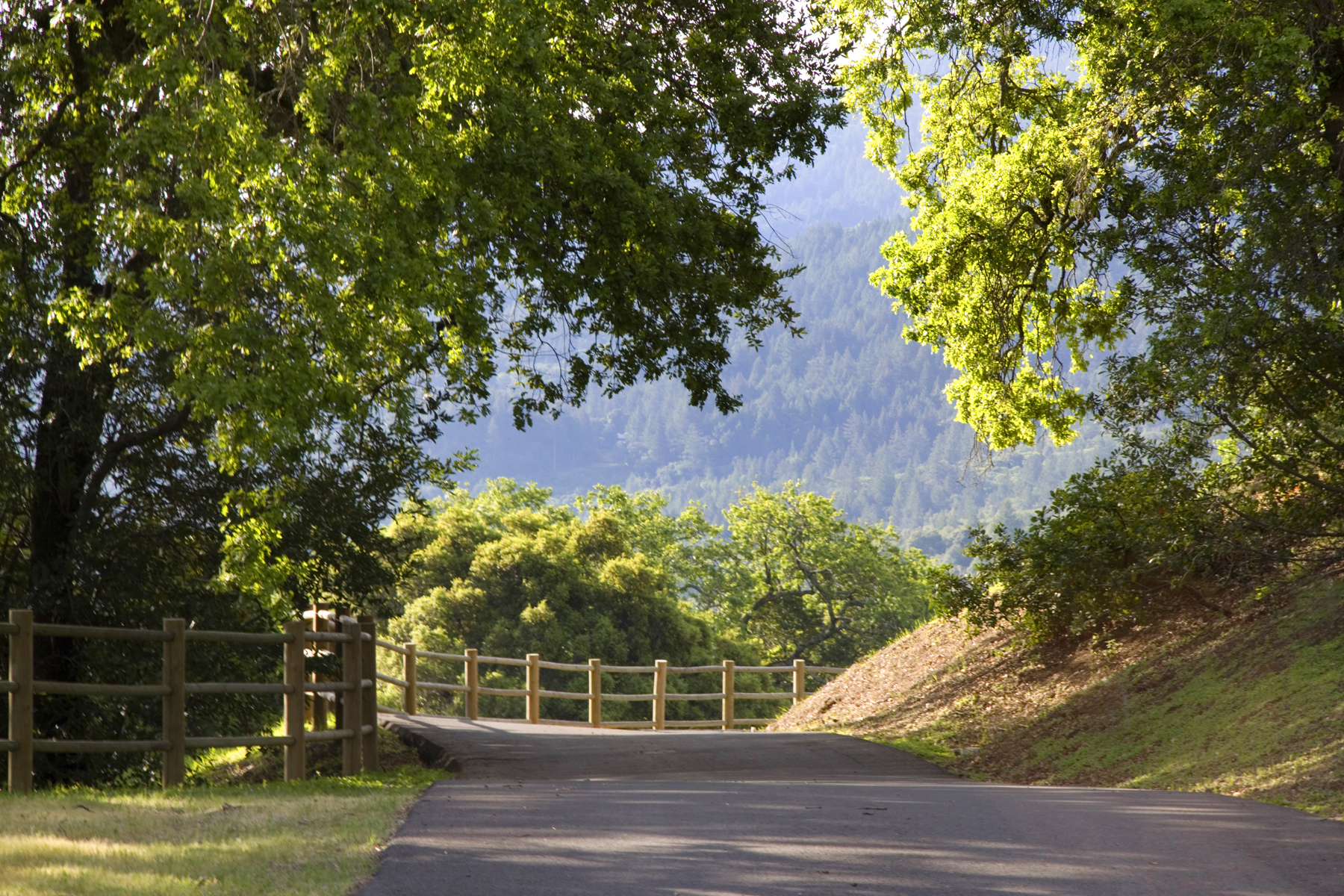 39 _MG_6266-EDIT - 1100WallRoad