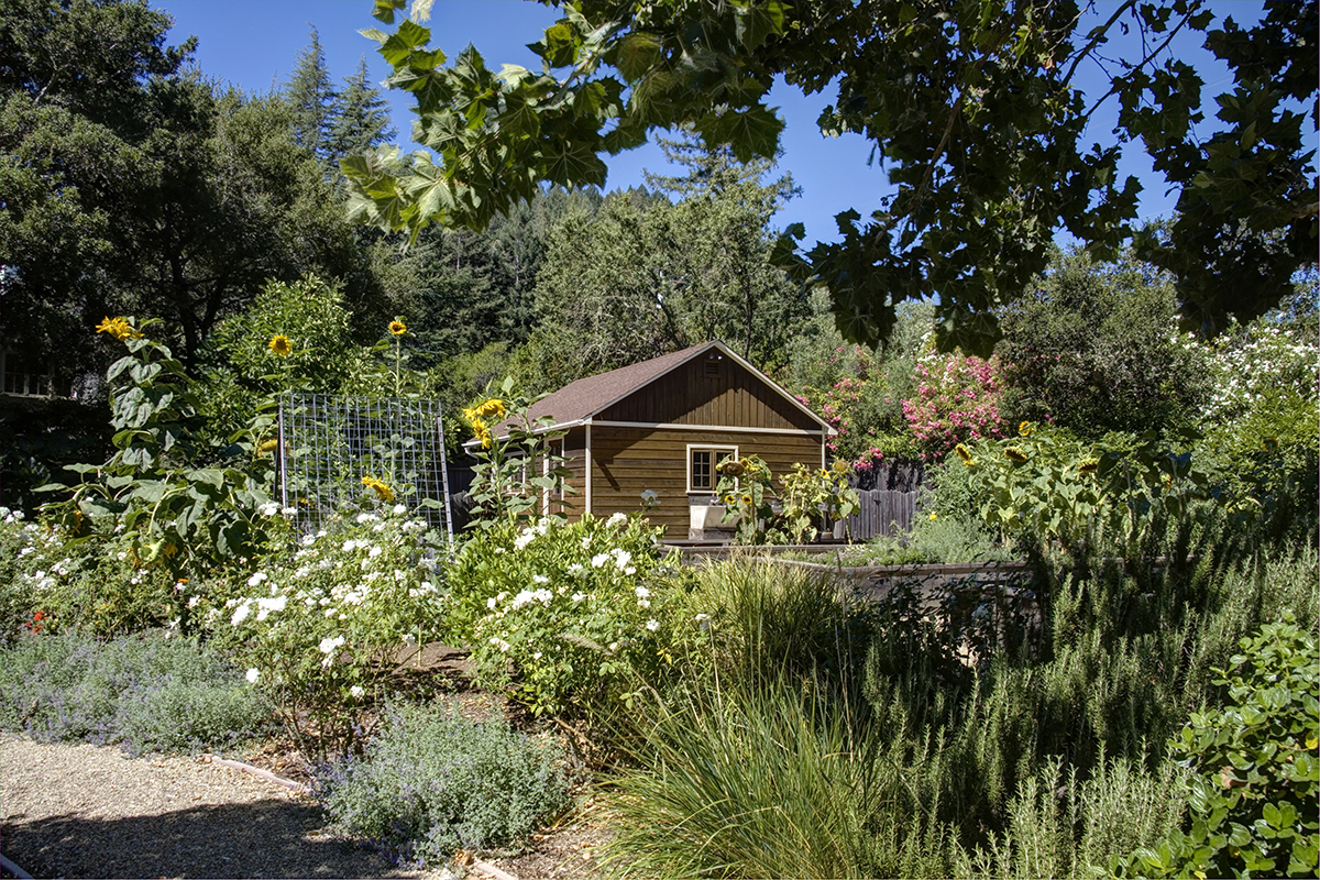 39 _MG_7997adjust- 1770DeanYork