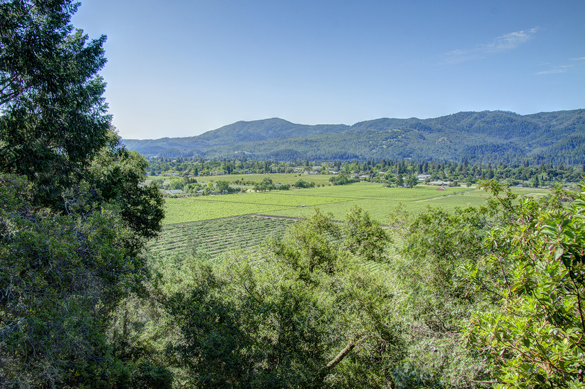 40 - _MG_1664_5_6_7_8_Fusion:Natural IV - 173KnollPlace