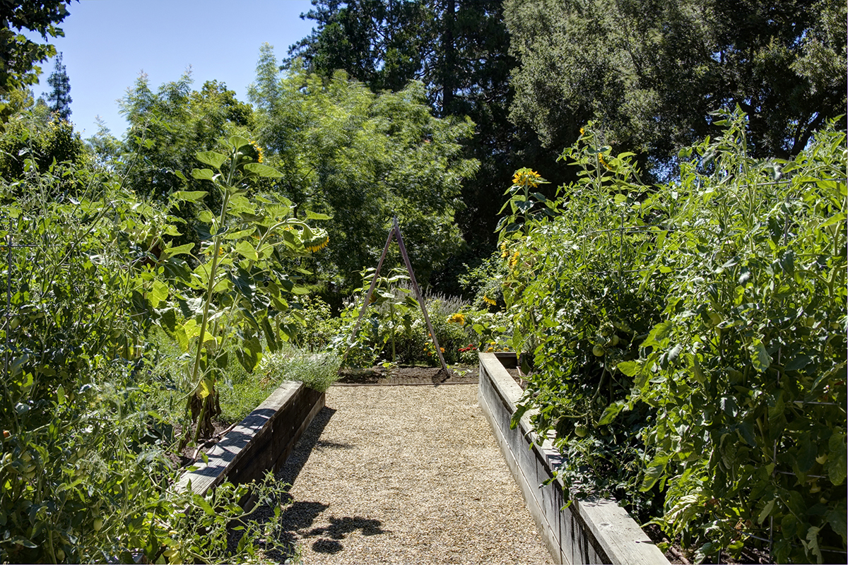 41 _MG_8017adjust- 1770DeanYork