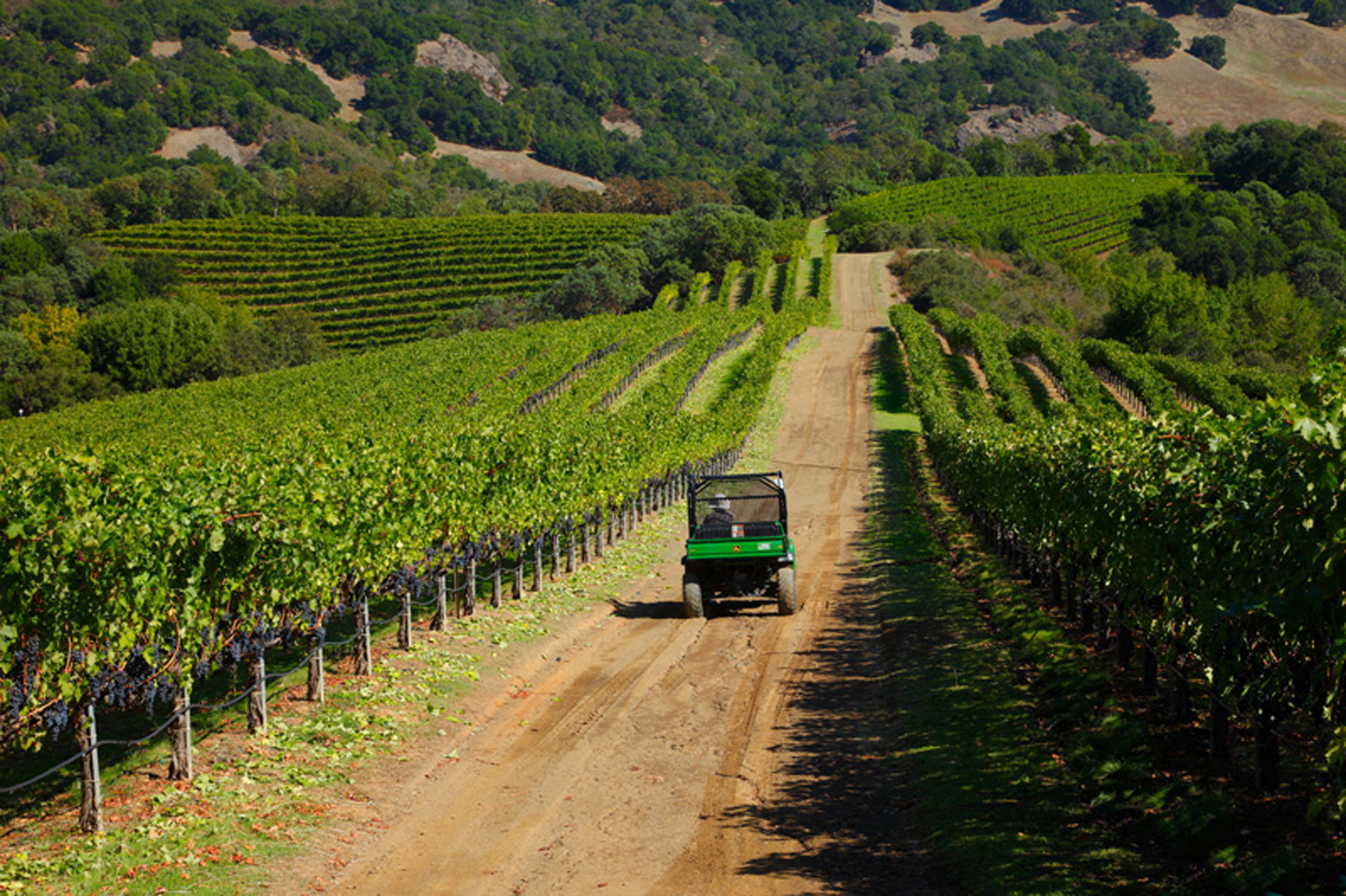 42 1100_Wall_Road_6903 - 1100WallRoad