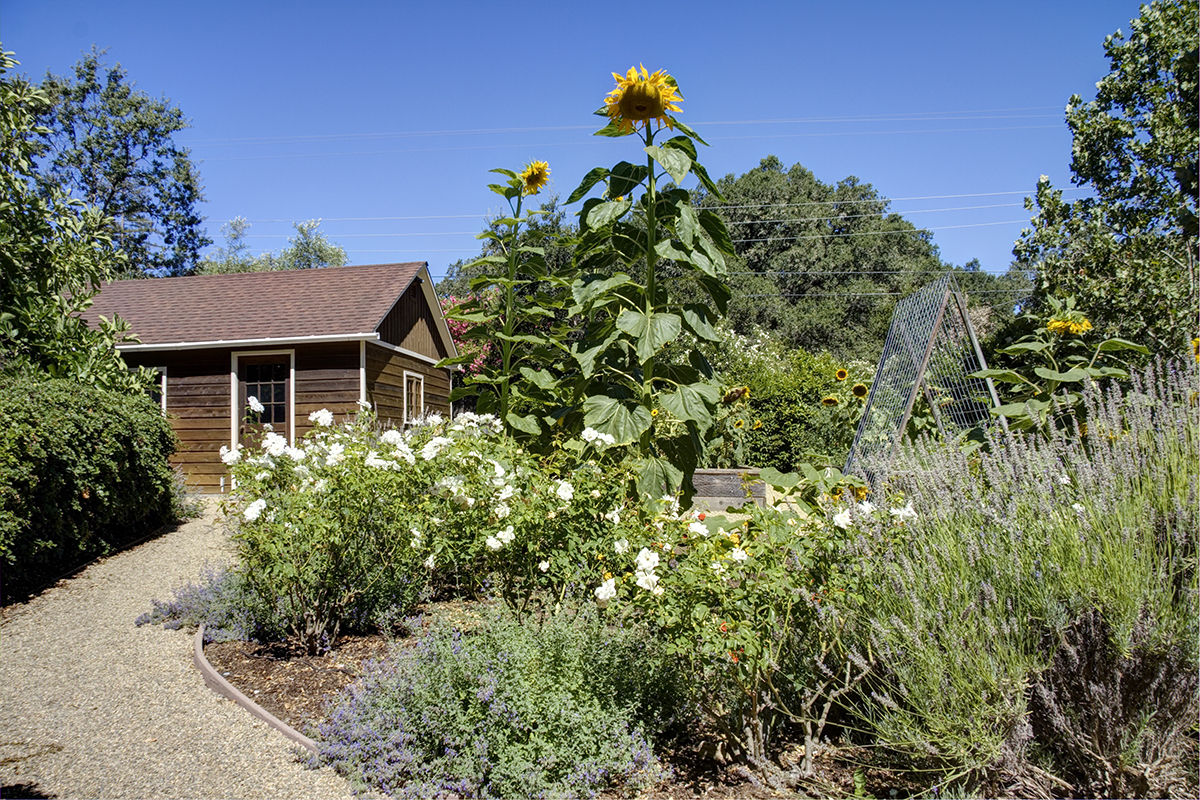 42 _MG_8007adjust- 1770DeanYork