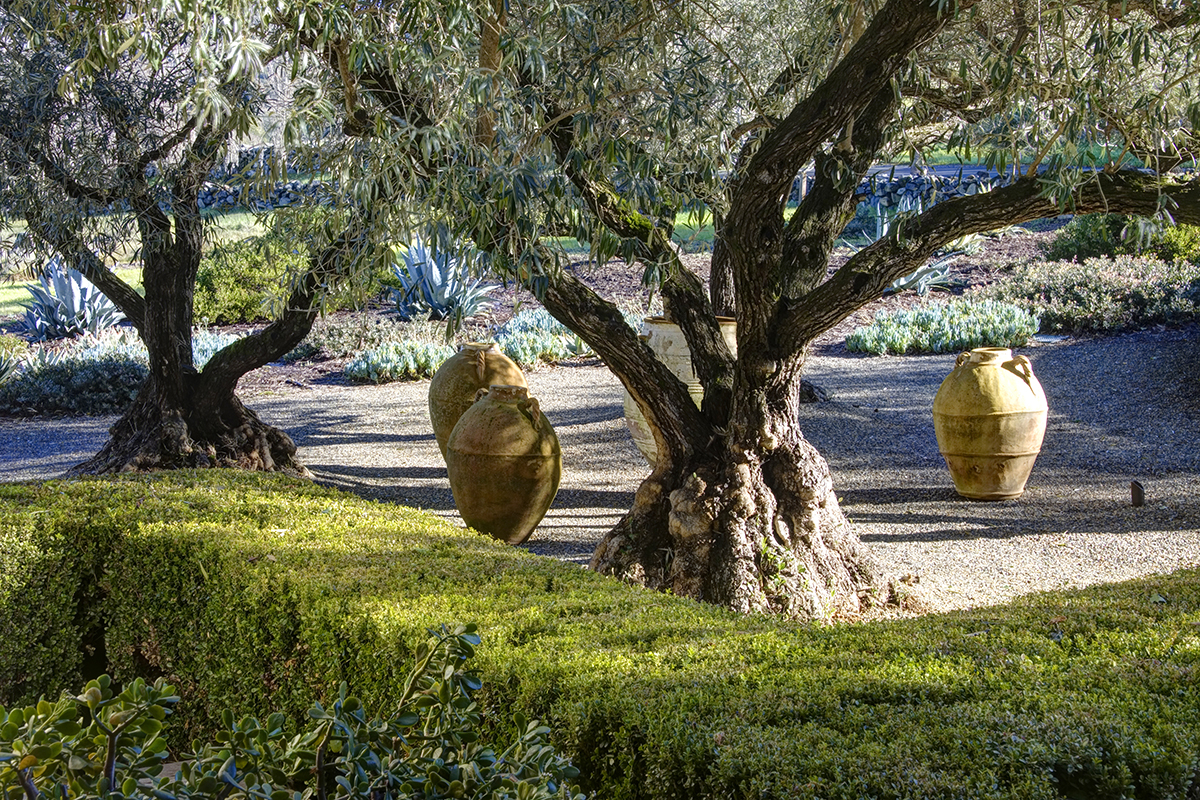 42 _MG_9800adjust- 1221GreenValleyRd