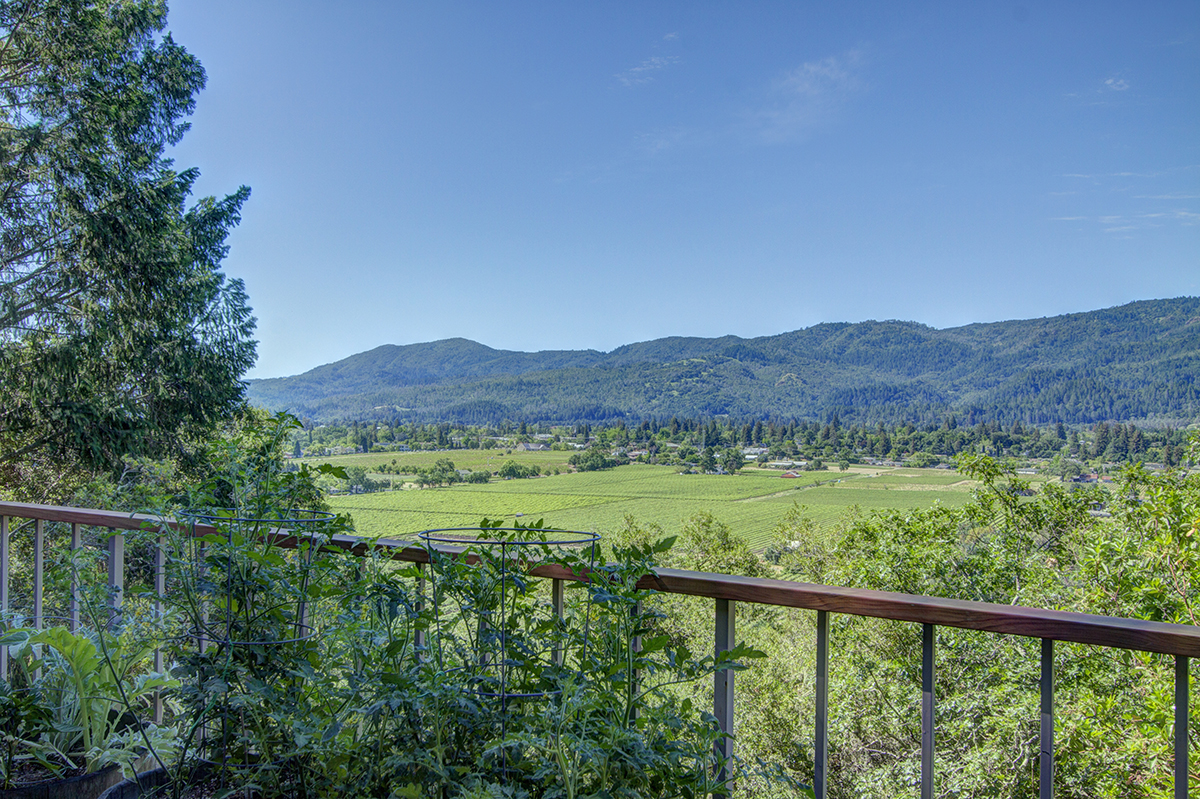 43 - _MG_1679_80_81_82_83_Fusion:Natural IV - 173KnollPlace