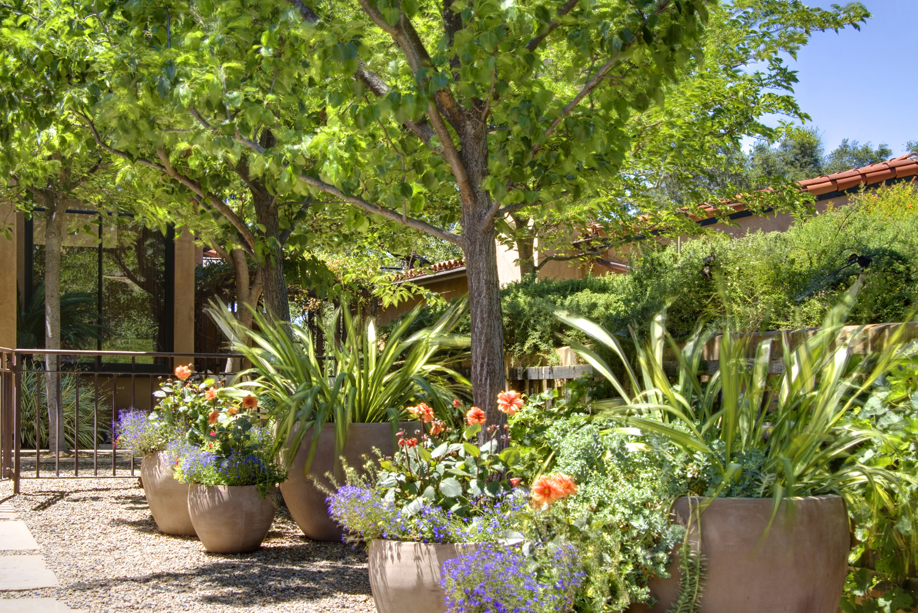 43 _MG_7176adjust- 7040SilveradoTrl