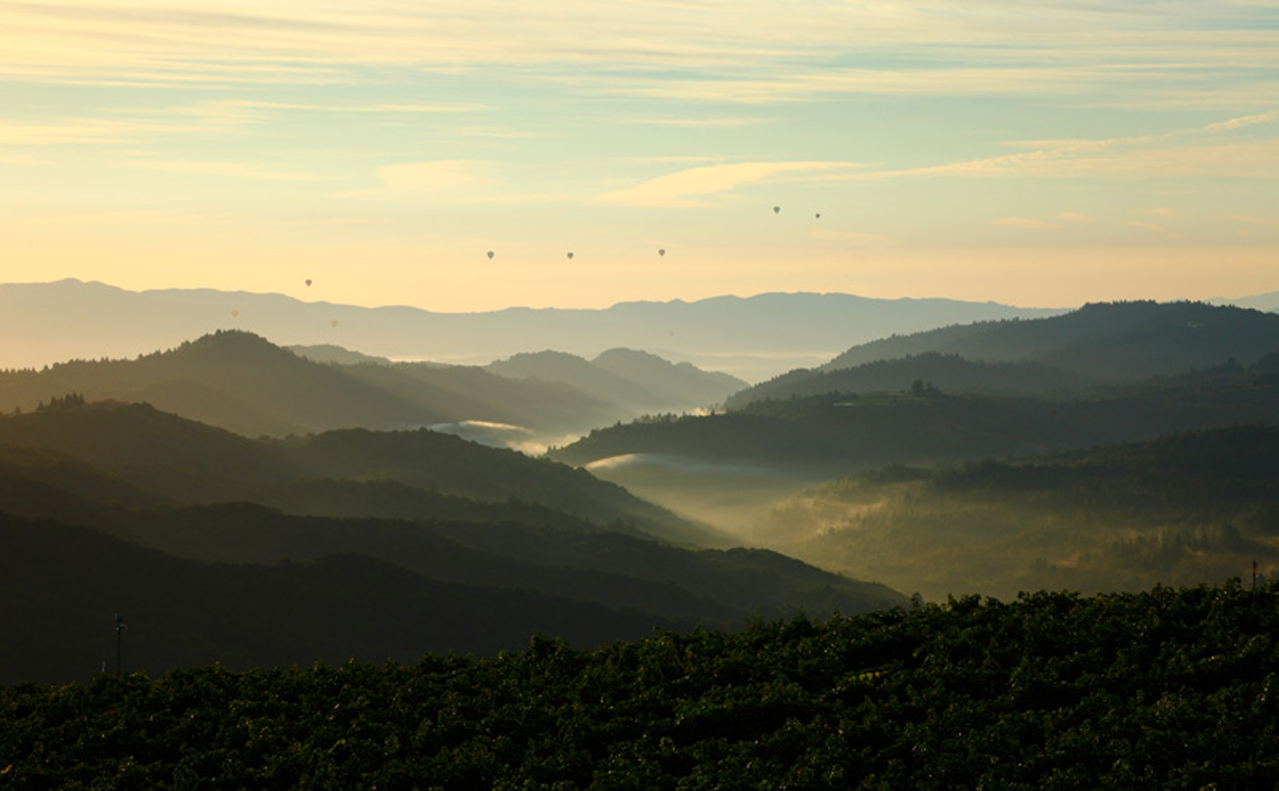 44 1100_Wall_Road_6701 - 1100WallRoad