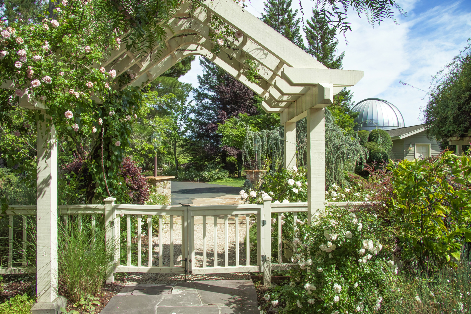 46 _MG_1571adjust EDIT - 1500ZinfandelLane