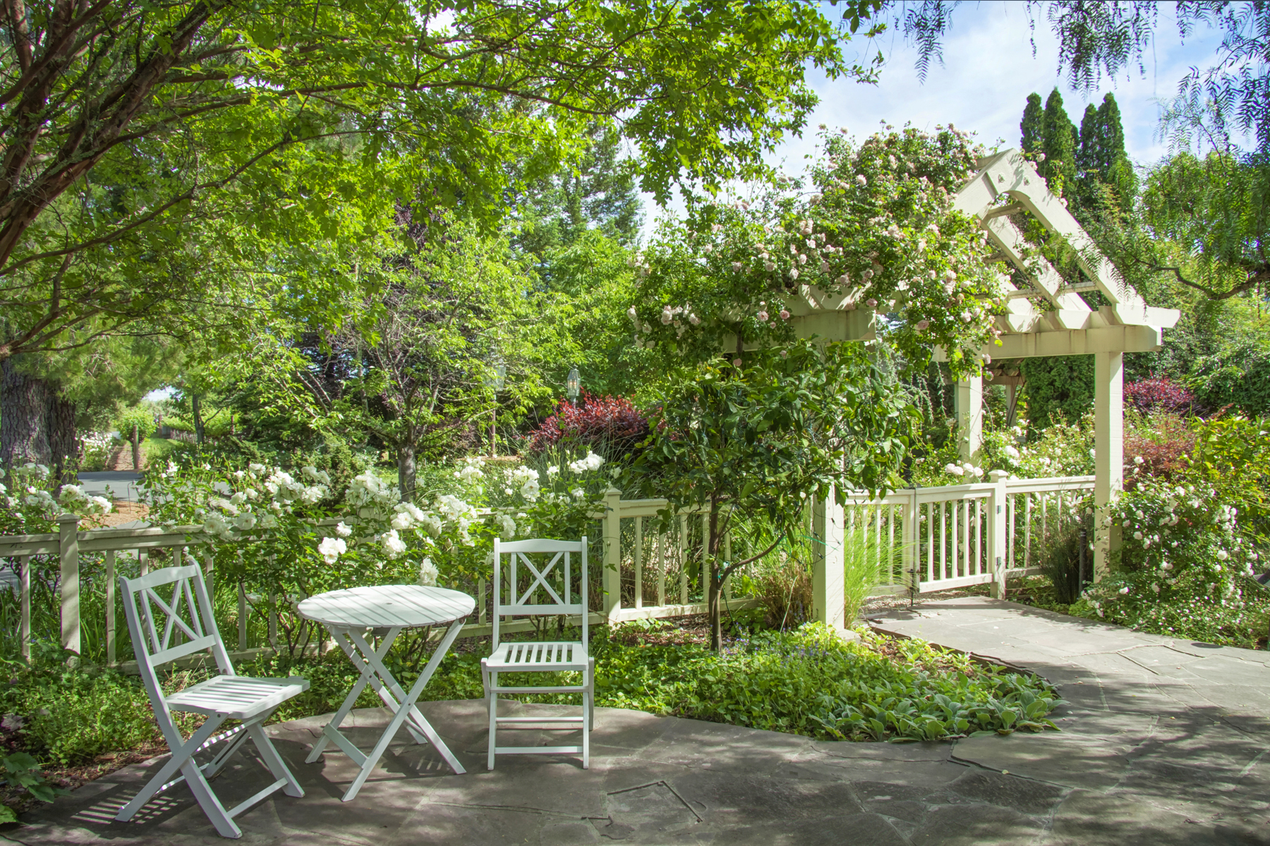 47 _MG_1576adjust EDIT - 1500ZinfandelLane